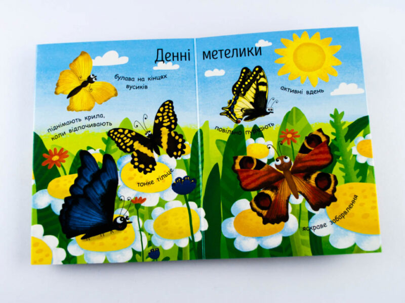 Енциклопедія Як народжується метелик? Ранок Л807010У (9789667488352) (279216) - Зображення 4