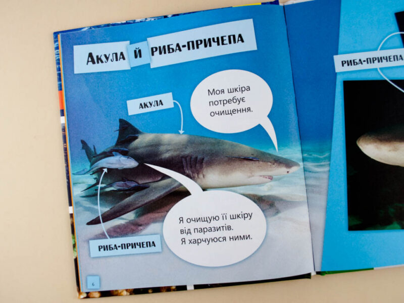 Енциклопедія Космос, повітря, вода і не тільки... Рівень 2 Ранок С850002У (9786170940315) (288587) - Зображення 4