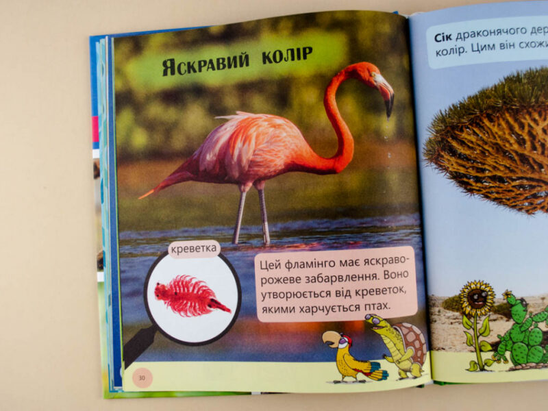 Енциклопедія Фантастичні рослини і не тільки… Рівень 3 Ранок С850003У (9786170940322) (288588) - Зображення 4