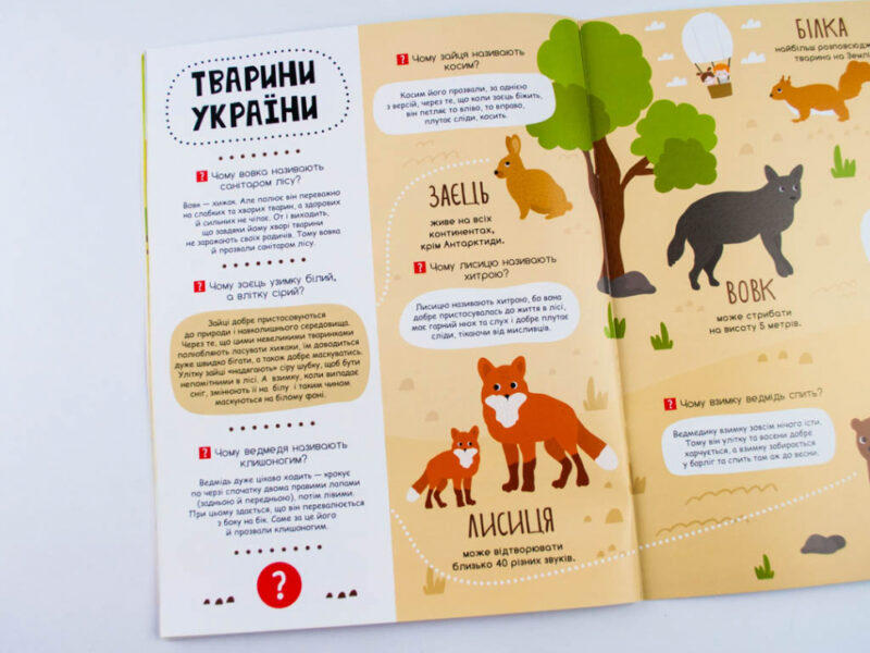Моя перша енциклопедія У світі тварин Кенгуру КН866001У (9786170938190) (292764) - Зображення 5