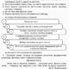 Робота над помилками на уроках української мови у 1—4 класах. Методична система опрацювання всіх орфограм курсу за алгоритмами. 2 частина. Основа НУР006 (9786170032775) (288619) - Зображення 7