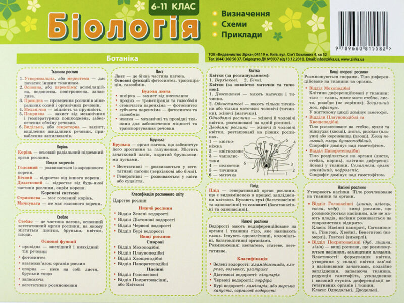 Картонка-підказка Біологія 40*15 см Зірка 66445 (9789660815582) (286296) - Зображення 2
