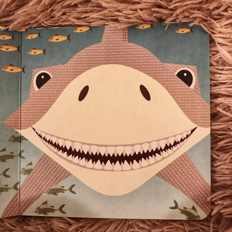 Книга на картоні Познайомся з нами: Морський народ (у) Ранок С885008У (9789667490102) (290004) - Зображення 3