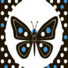 Лапотунечка. Контрастна книжка для немовляти. Кривцова П. (Укр) Ранок А755008У (9789667485351) (267748) - Зображення 6