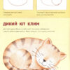 Малюємо тварин (збірник) (Укр) Ранок (254733) (9786170928290) - Зображення 4