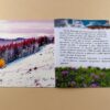 Книга Моя Україна. Читаємо по складах : Гори та печери (у) Ранок С366015У (978-966-74-7184-2) (245550) - Зображення 3