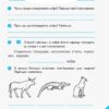 Читайко. Робочий зошит з читання 4 клас до підручника Науменко В.О. (Укр) Ранок О900939У (9786170924698) (311162) - Зображення 2