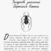 Книга Битва жуків: Хлопчик-жук (у) Ранок Ч874001У (9786170943927) (310201) - Зображення 2