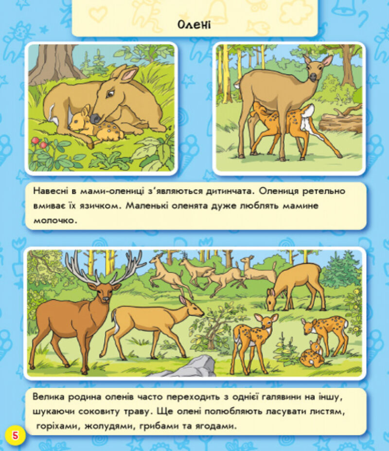 Енциклопедія в картинках: Світ тварин (у) Ранок А158019У (9789667494933) (312768) - Зображення 6