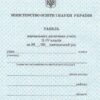 Табель навчальних досягнень та відвідування школи учнів 2 - 4 класів (з захисною сіткою) Ранок О376034У (2812810000099) (307025)
