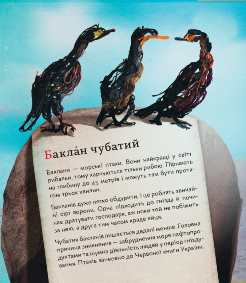 Книга ПтахАбетка Українські пернаті (Укр) Ранок R901537У (9786170957740) (344736) - Зображення 8