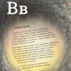 Книга ПтахАбетка Українські пернаті (Укр) Ранок R901537У (9786170957740) (344736) - Зображення 9