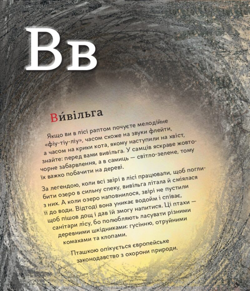 Книга ПтахАбетка Українські пернаті (Укр) Ранок R901537У (9786170957740) (344736) - Зображення 9