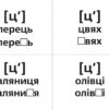 Логопедичні картки №1 Звуковимова та будова слів 120 карток (Укр) Ранок 15225001У (9789667382032) (312562) - Зображення 3