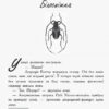 Книга Битва жуків Королева жуків (Укр) Ранок Ч874002У (9786170943934) (344440) - Зображення 2