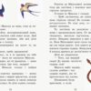 Коралові казки Золоті казки (Укр) Сонечко Ч1223011У (9786170955319) (346596) - Зображення 9