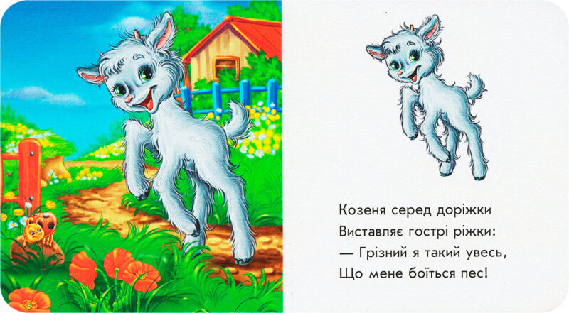 Лазурові книжки Свійські тварини (Укр) Сонечко А1226007У (9789667496203) (346538) - Зображення 2