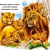 Бузкові книжки Мами і малята Дикі тварини (Укр) Сонечко А1225015У (9789667496432) (346536) - Зображення 2