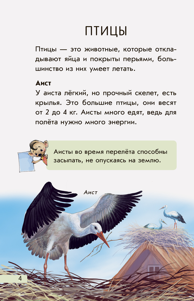 Европейские животные - Зображення 2