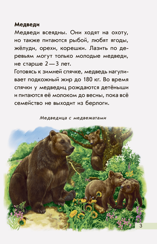 Европейские животные - Зображення 3