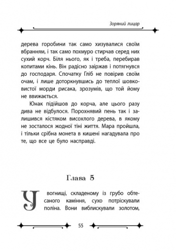 Зоряний лицар - Зображення 6