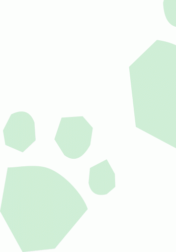 Продукти - Зображення 7