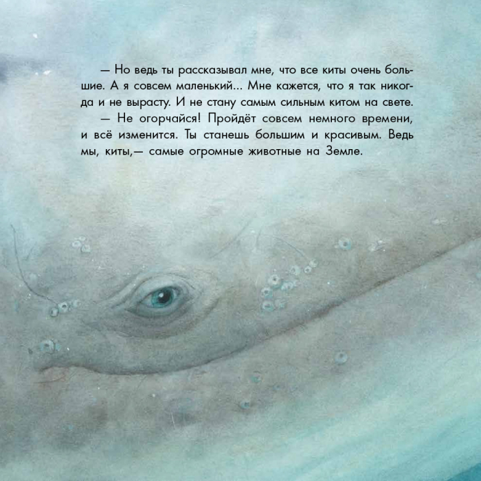 Маленький Кит - Зображення 7