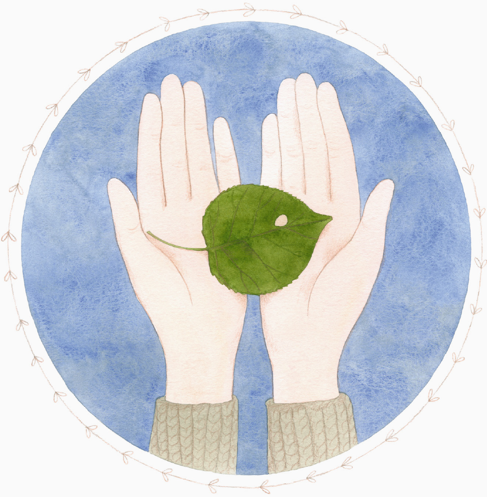 Подорож листочка - Зображення 3