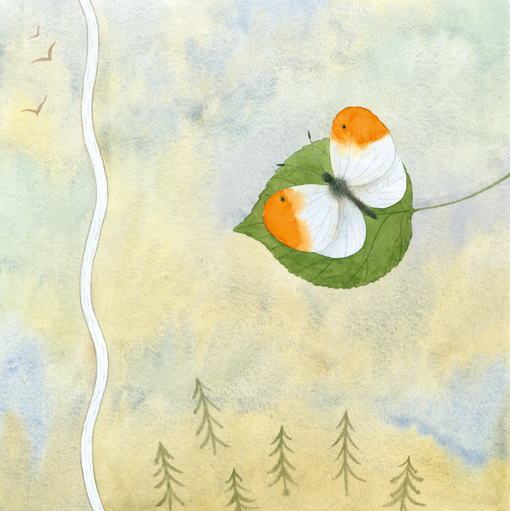 Подорож листочка - Зображення 5