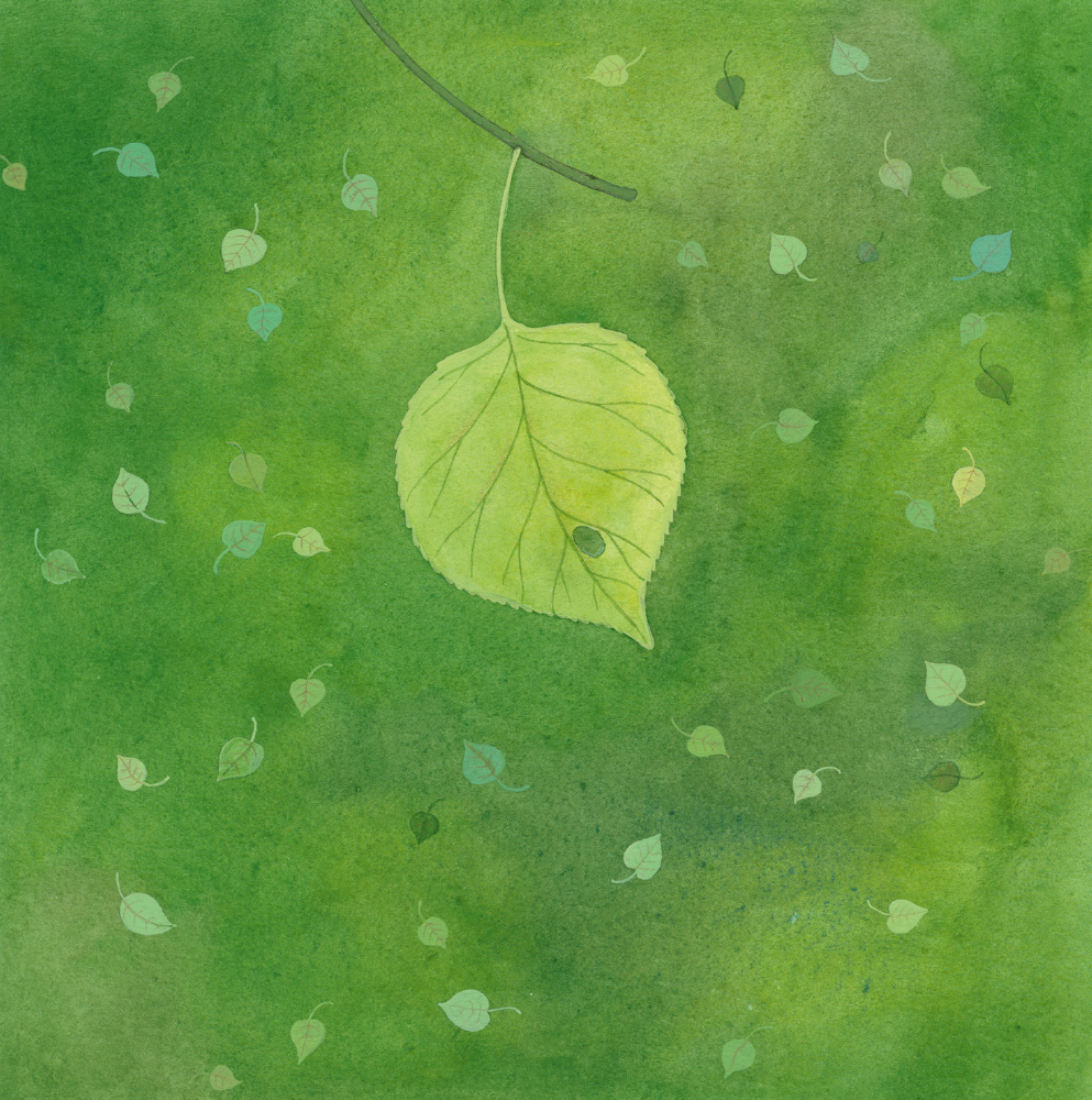 Подорож листочка - Зображення 7