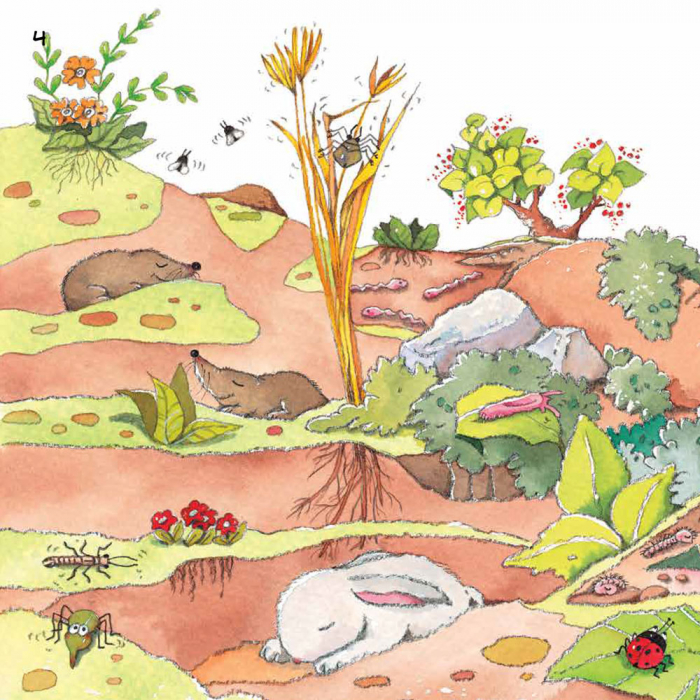 Наука розповідає... про Землю - Зображення 4