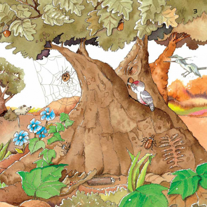 Наука розповідає... про Землю - Зображення 5