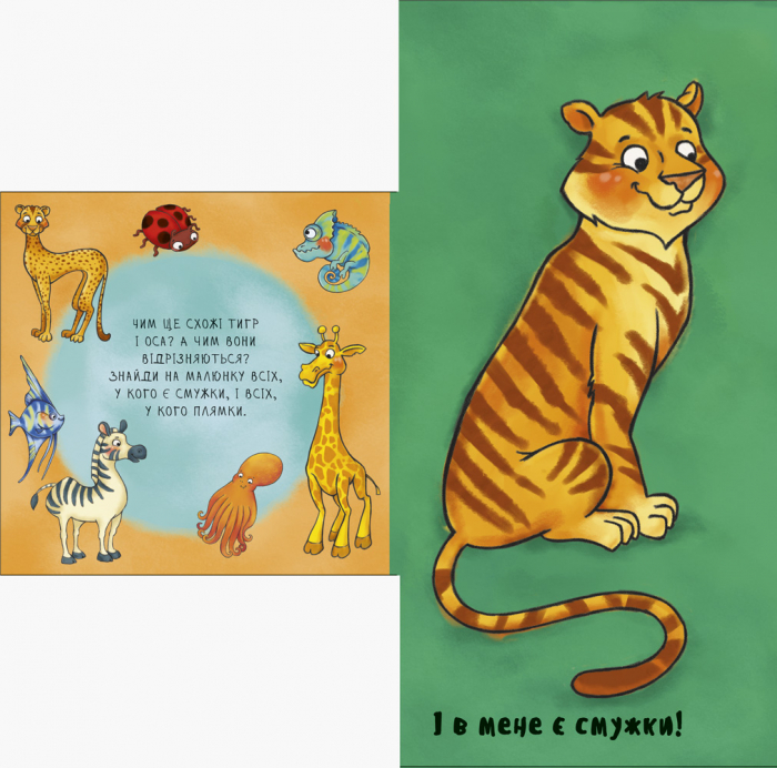 Отакі схожі - Зображення 4