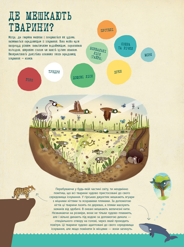 Подорож до дивовижного світу тварин - Зображення 2
