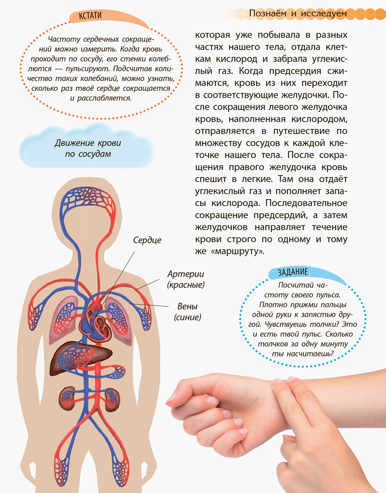 Человек и его тело - Зображення 3