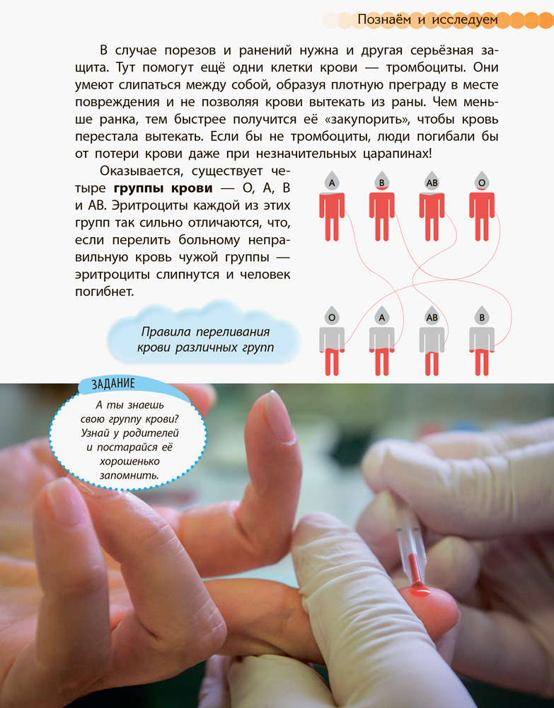 Человек и его тело - Зображення 5