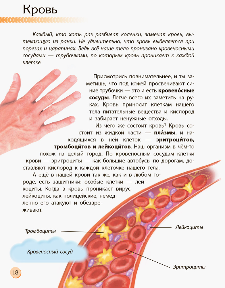 Человек и его тело - Зображення 6