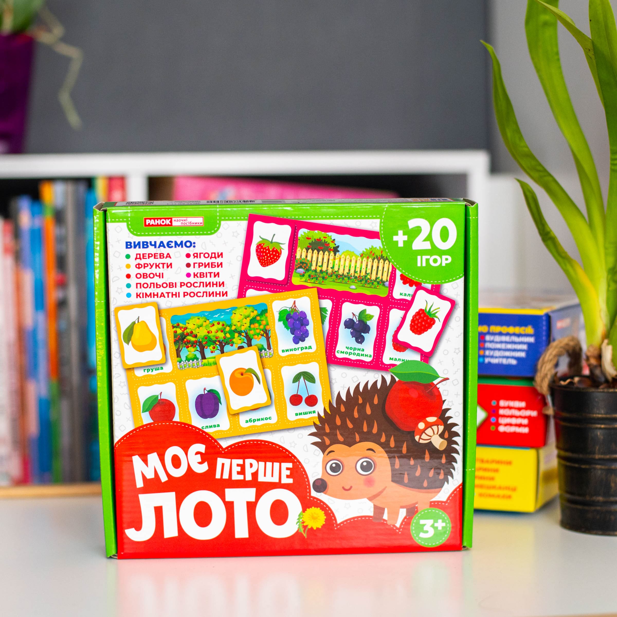 Моє перше лото_Вивчаємо рослини - Зображення 2