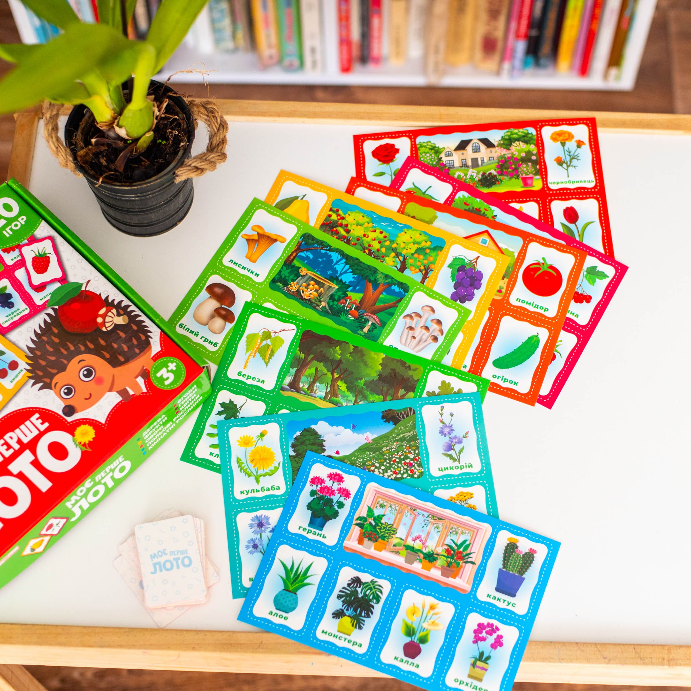 Моє перше лото_Вивчаємо рослини - Зображення 7