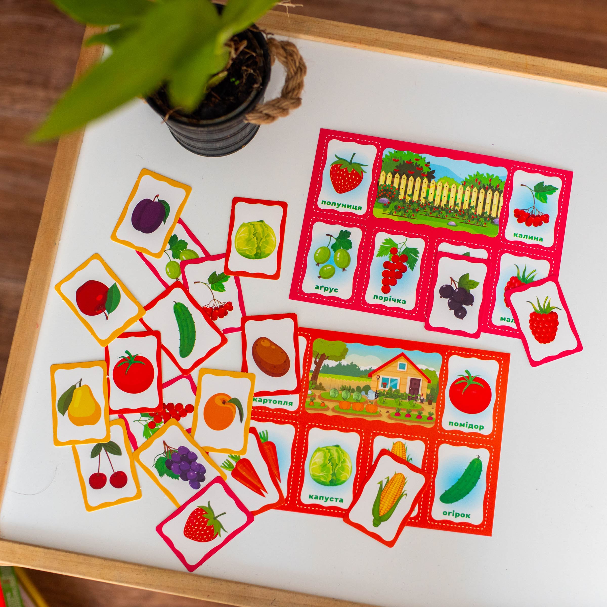 Моє перше лото_Вивчаємо рослини - Зображення 9