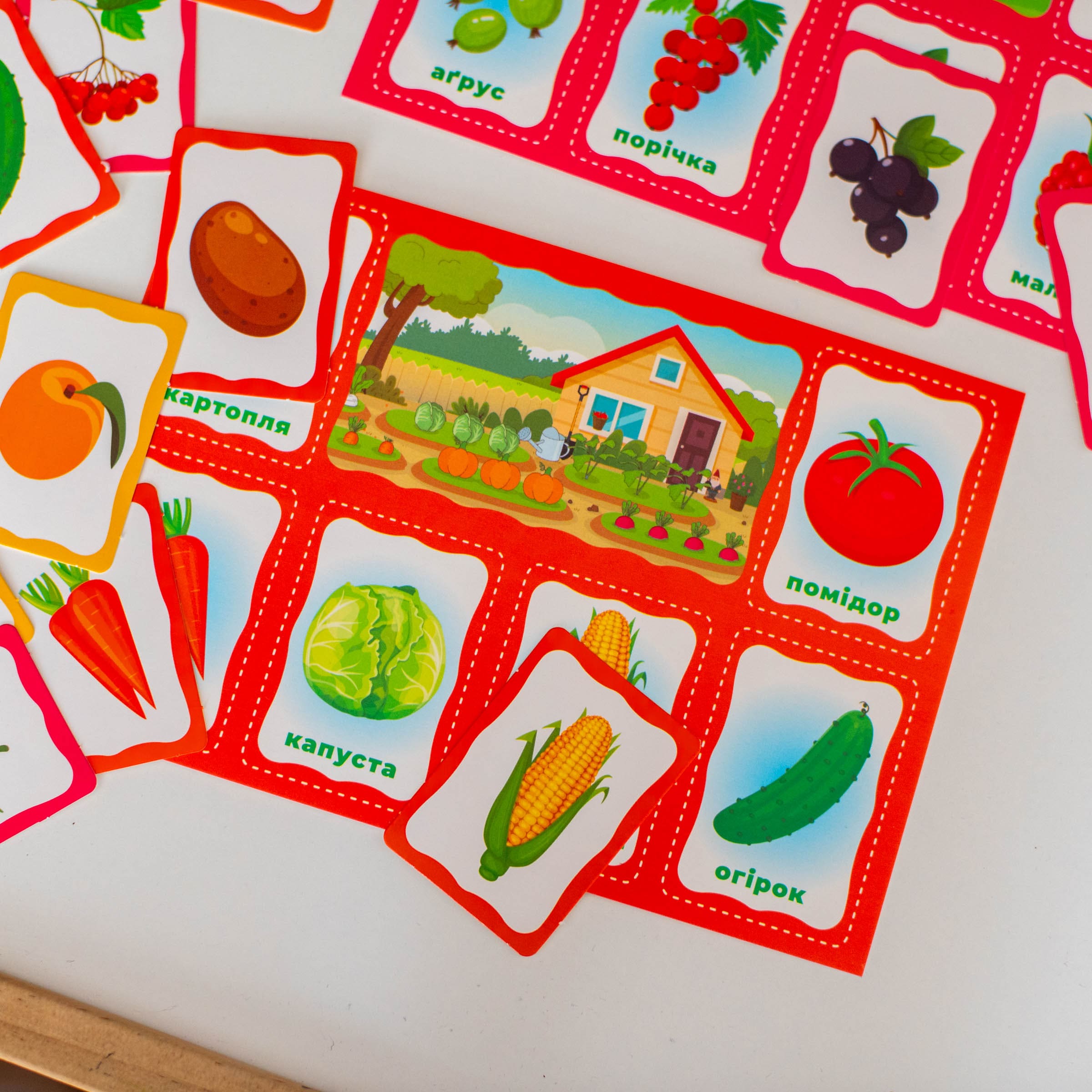 Моє перше лото_Вивчаємо рослини - Зображення 10