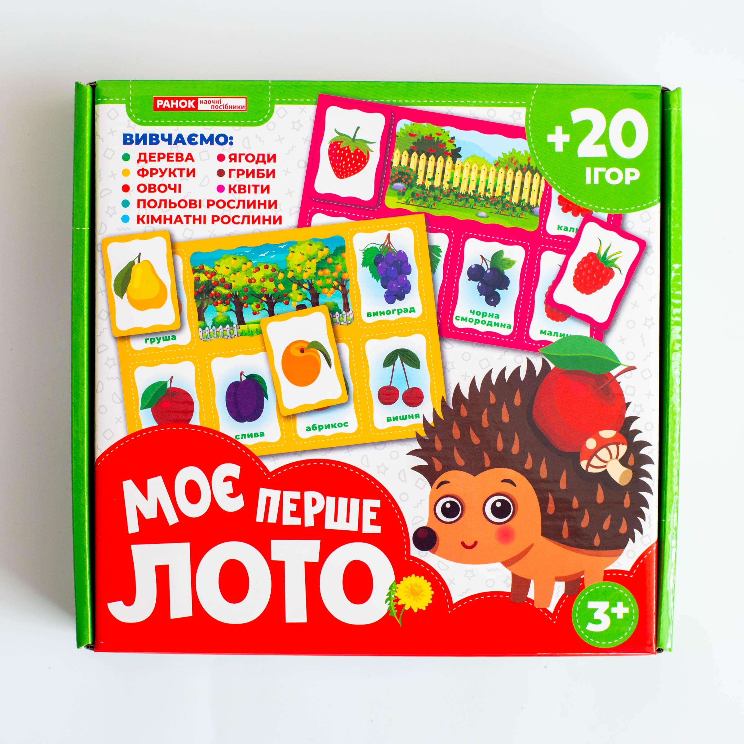 Моє перше лото_Вивчаємо рослини - Зображення 14