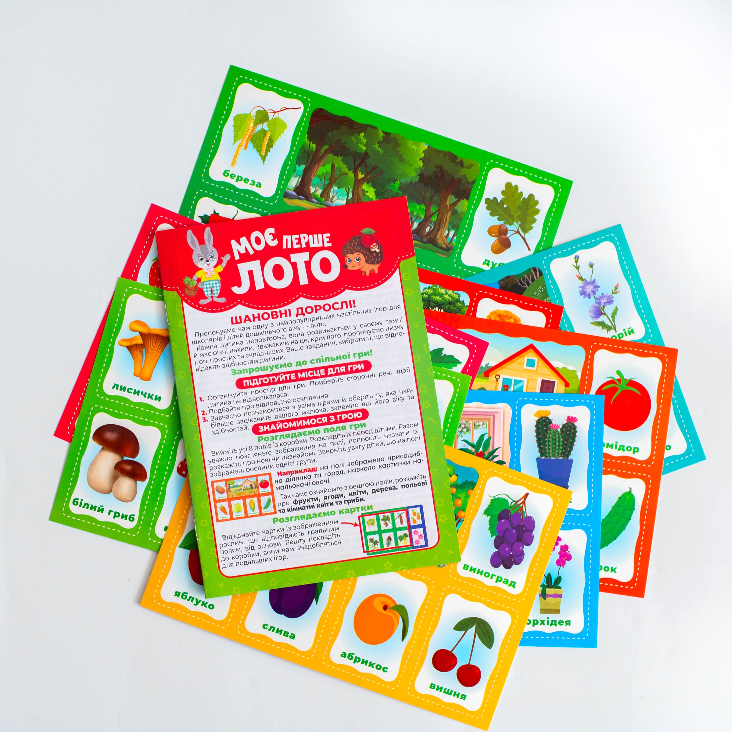 Моє перше лото_Вивчаємо рослини - Зображення 21