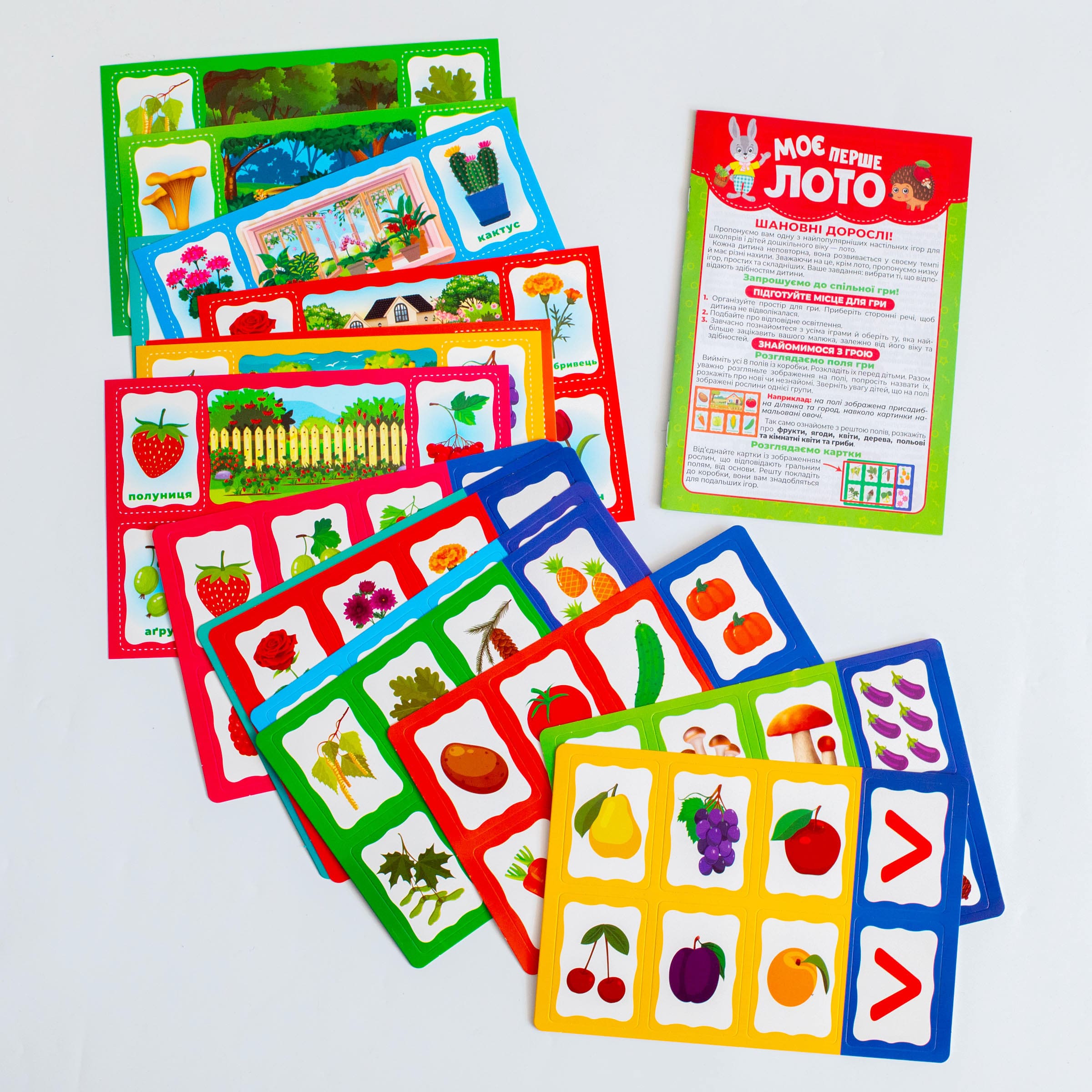 Моє перше лото_Вивчаємо рослини - Зображення 23