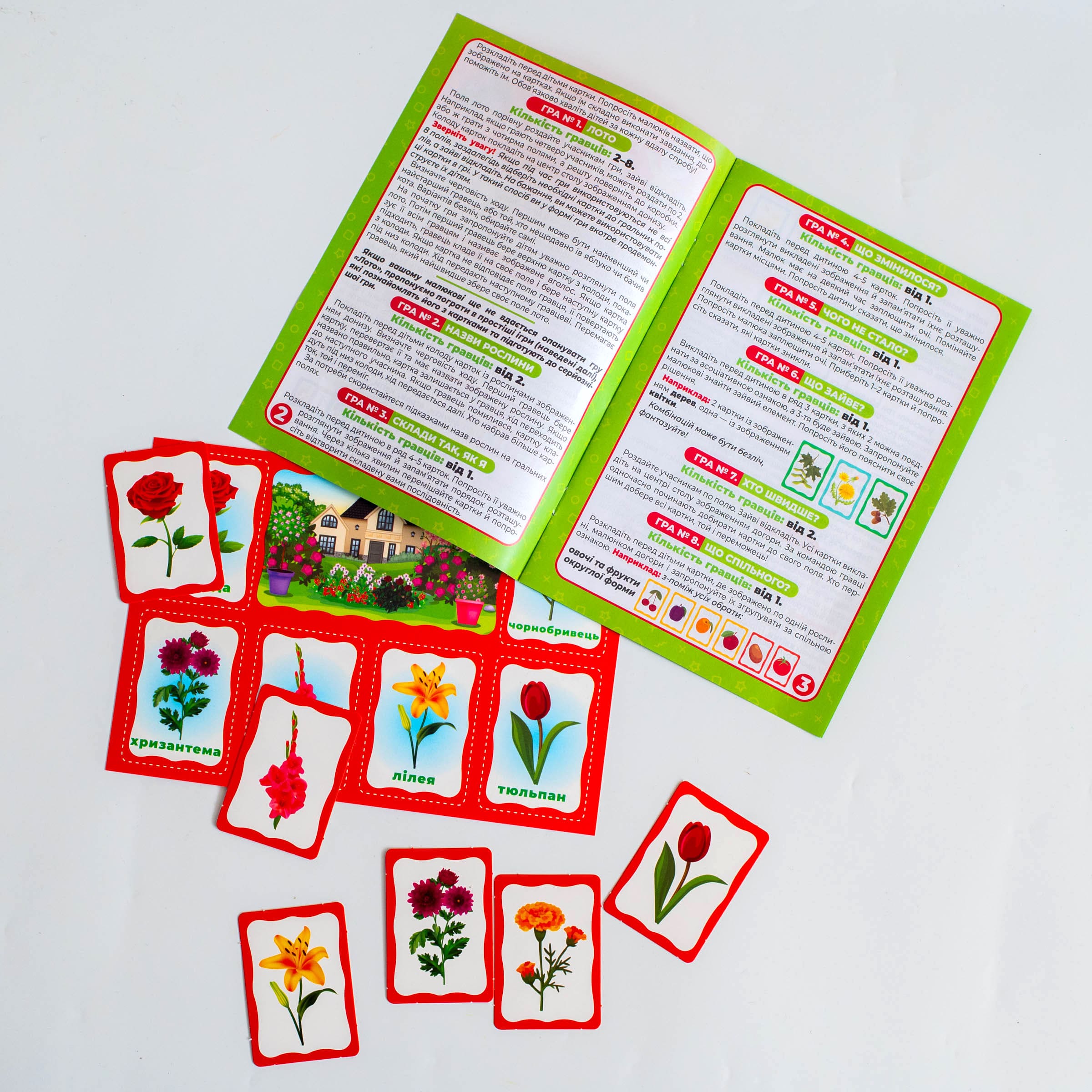 Моє перше лото_Вивчаємо рослини - Зображення 24