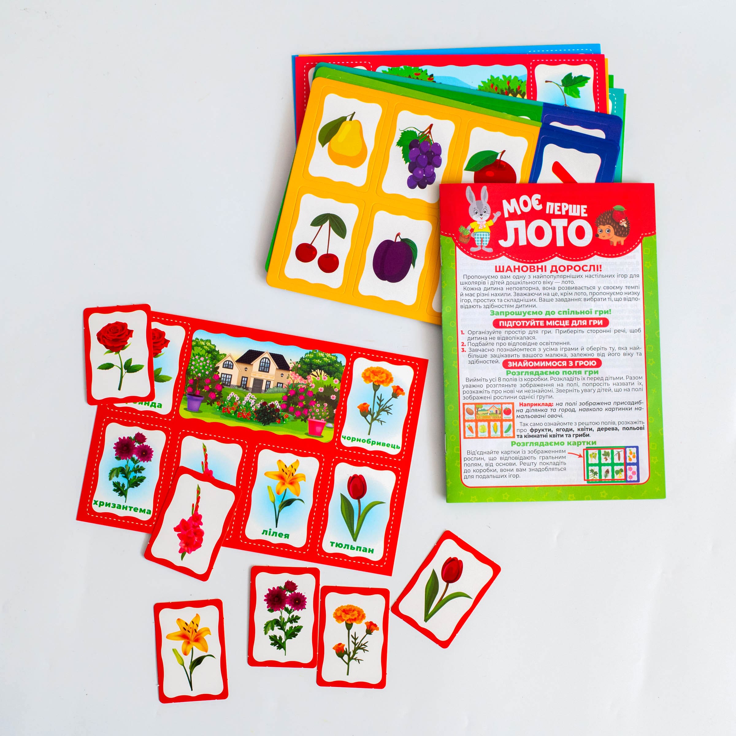 Моє перше лото_Вивчаємо рослини - Зображення 25