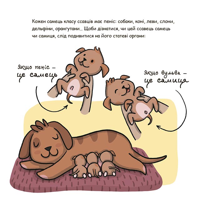 Це — пеніс! ДТЛ012 - Зображення 2