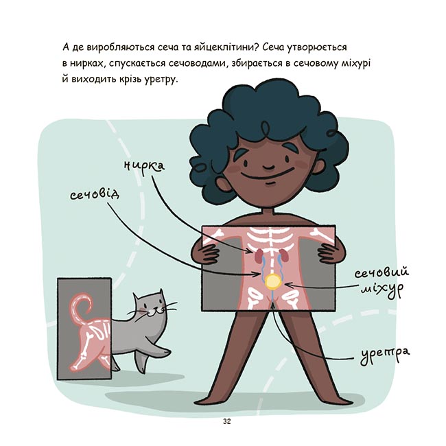 Це — вульва! ДТЛ013 - Зображення 6