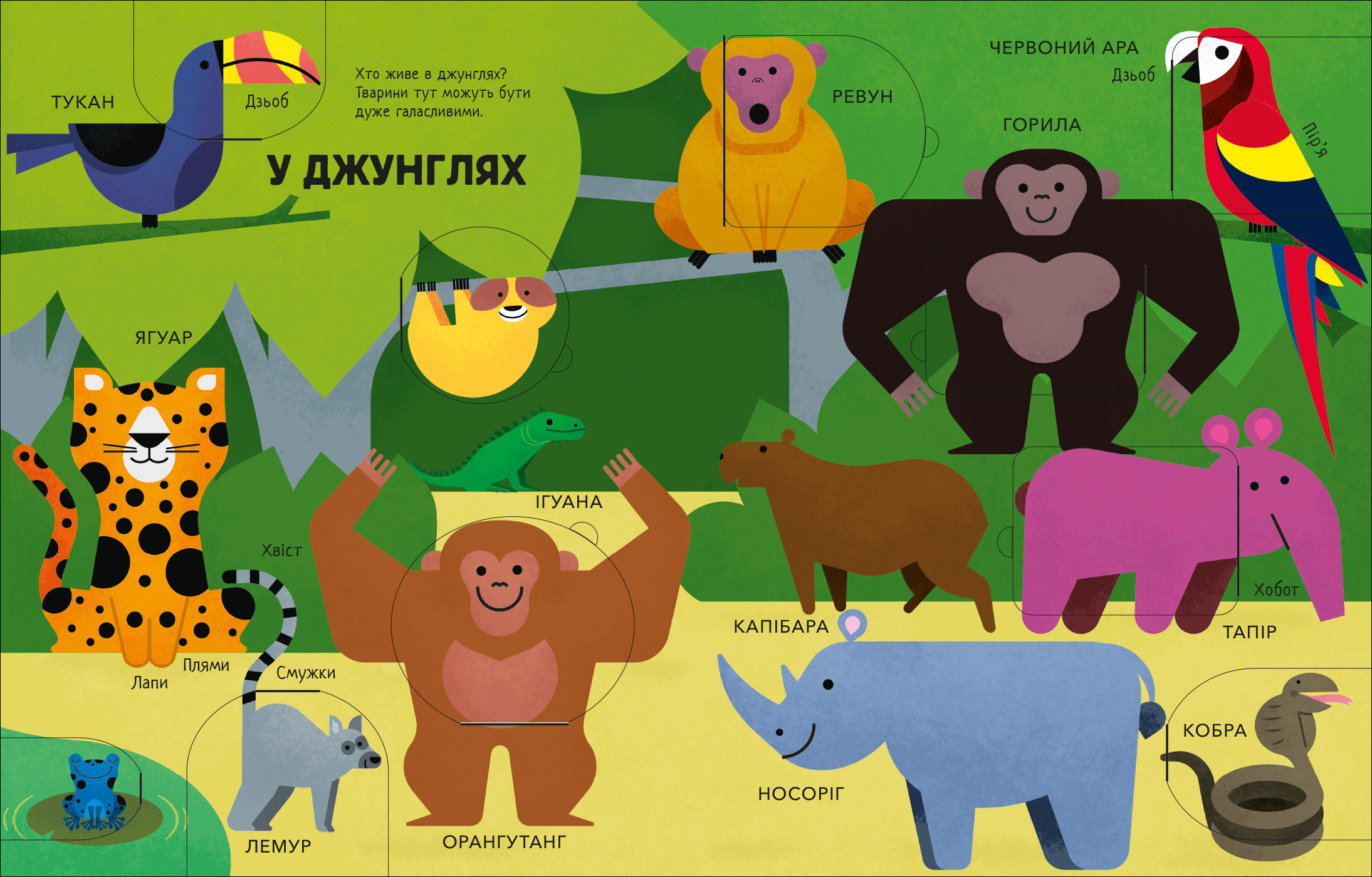 Моя перша книга з віконцями. Тварини - Зображення 4