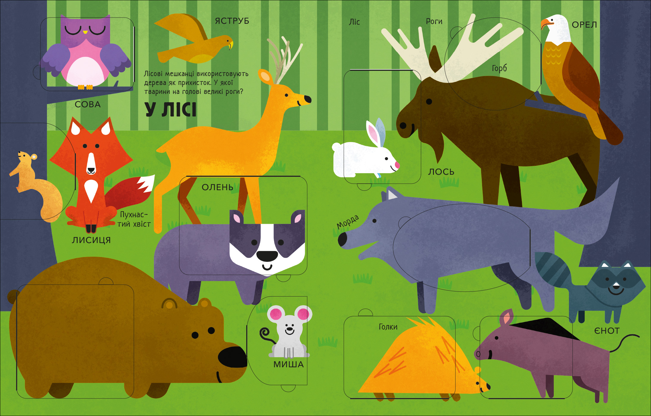 Моя перша книга з віконцями. Тварини - Зображення 6